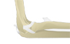 Elbow anatomy illustration