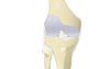 Knee anatomy illustration